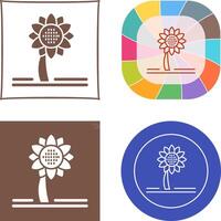 zonnebloem pictogram ontwerp vector