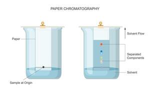 pionieren papier chromatografie. scheiden oplossingen met precisie. vector