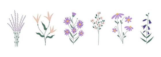 botanische set van tuin bloemen planten. kleurrijke platte vectorillustratie. vector