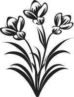 ijzig bloemen indruk monochroom embleem arctisch bloeien kunstenaarstalent iconisch Mark vector