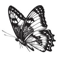 mooi vlinder schetsen hand- getrokken in tekening stijl illustratie vector
