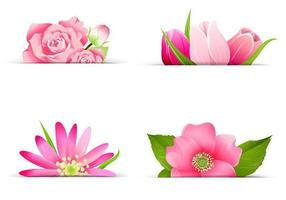 Roze bloem Banner Vector Pack