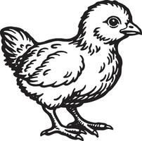 kuiken. uit de vrije hand tekening van een kip. illustratie. vector