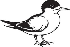 stern vogel - zwart en wit illustratie voor tatoeëren of t-shirt ontwerp vector