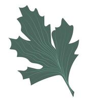 abstract groen eik blad in vlak ontwerp. gemakkelijk Woud boom gebladerte. illustratie geïsoleerd. vector