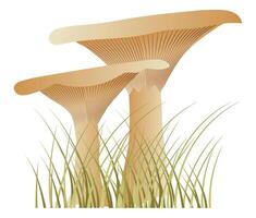 melk champignons in gras in vlak ontwerp. wild seizoensgebonden Woud schimmel. illustratie geïsoleerd. vector