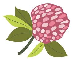 abstract roze hortensia in vlak ontwerp. bloeiend boeket met bladeren. illustratie geïsoleerd. vector