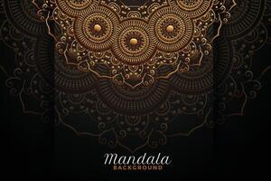 luxe mandala decoratie Aan zwart achtergrond vector