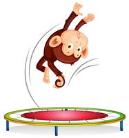 Een aap die op trampoline springt vector