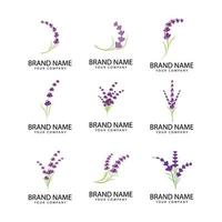 lavendel bloemen aromatisch logo vector pictogram illustratie ontwerp