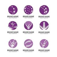 lavendel bloemen aromatisch logo vector pictogram illustratie ontwerp