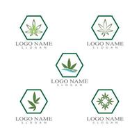 cannabis marihuana hennepblad logo en symbool vector