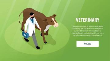 veterinaire isometrische banner vector