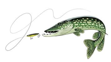 wijnoogst illustratie van snoek vis geïsoleerd vector