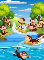 bos riviertafereel met aap stripfiguren vector