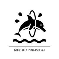 dolfijn truc pixel perfect zwart glyph icoon. jumping door hoepel. dolfinarium aquatisch show. acrobatisch amusement. silhouet symbool Aan wit ruimte. solide pictogram. geïsoleerd illustratie vector