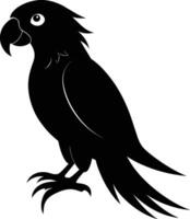 zwart papegaai silhouet Aan wit achtergrond illustratie vector