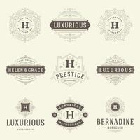 wijnoogst logos Sjablonen set, bloeit kalligrafische elegant ornamenten kaders en grenzen. vector