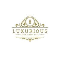 luxe logo kam sjabloon ontwerp illustratie. vector