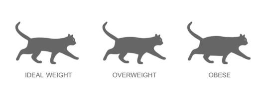 silhouetten van katten met ideaal gewicht, te zwaar en zwaarlijvig. katje profielenmet normaal en dik lichaam voorwaarde. werkwijze van huiselijk dieren zwaarlijvigheid vector