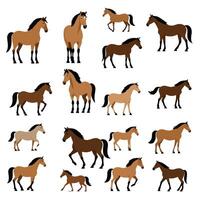 paard dier vlak illustratie ontwerp vector