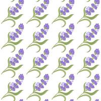 een takje van lavendel. Purper bloem. naadloos patroon. illustratie. vector