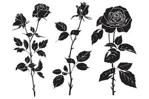 reeks van rozen silhouetten geïsoleerd Aan een wit achtergrond vector