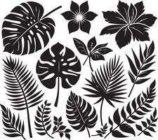 tropisch bloem, zwart kleur silhouet, zwart kleur silhouet vector