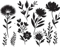 zwart borstel bloem silhouetten. voorjaar bloemen , zwart kleur silhouet vector