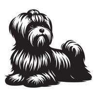 Maltees hond , zwart kleur silhouet vector