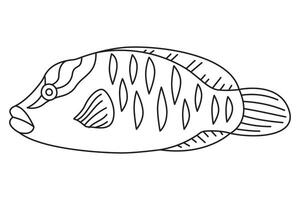 tropisch vis. gemakkelijk hand- getrokken. geïsoleerd Aan wit achtergrond. tekening vis lijn kunst tekening. kunst behandeling kleur bladzijde voor kinderen en volwassenen. zwart en wit illustratie vector