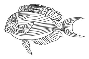 tropisch vis. gemakkelijk hand- getrokken. geïsoleerd Aan wit achtergrond. tekening vis lijn kunst tekening. kunst behandeling kleur bladzijde voor kinderen en volwassenen. zwart en wit illustratie vector