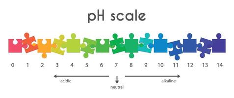 schaal van ph waarden voor zuur-base oplossing in het formulier van puzzels. infographics van zuur-base balans geïsoleerd Aan wit achtergrond. indicator van waterstof ion concentratie in oplossing. illustratie. vector