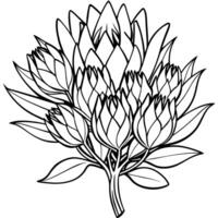 protea bloem schets illustratie kleur boek bladzijde ontwerp, protea bloem zwart en wit lijn kunst tekening kleur boek Pagina's voor kinderen en volwassenen vector