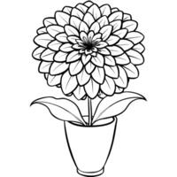 zinnia bloem schets illustratie kleur boek bladzijde ontwerp, zinnia bloem zwart en wit lijn kunst tekening kleur boek Pagina's voor kinderen en volwassenen vector