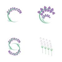 reeks lavendel logo sjabloon vector