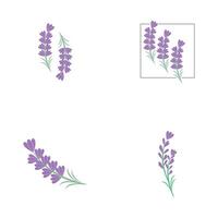 reeks lavendel logo sjabloon vector