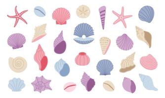 schattig zeeschelp, zeester, mossel. zee schelp set. hand- getrokken illustratie geïsoleerd Aan wit achtergrond vector