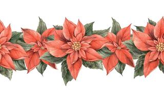kerstster, Kerstmis rood bloem met groen bladeren. naadloos waterverf botanisch grens in wijnoogst stijl Aan geïsoleerd achtergrond. tekening voor uitnodigingen, spandoeken, kaarten, omhulsel papier, decor vector