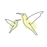 kolibrie een lijn tekening Aan wit geïsoleerd achtergrond. illustratie vector