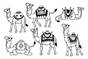een reeks van zwart en wit tekeningen van kamelen met verschillend gekleurde dekens vector