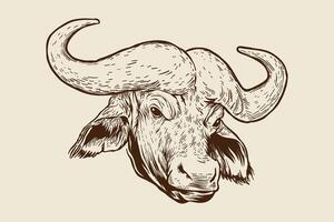 wijnoogst stijl buffel hoofd illustratie vector