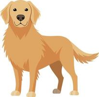 illustratie van een gouden retriever hond vector