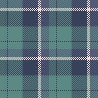 textiel ontwerp van getextureerde plaid. geruit kleding stof patroon swatch voor shirt, jurk, pak, omhulsel papier afdrukken, uitnodiging en geschenk kaart. vector