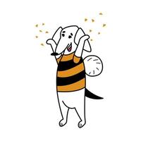 grappig tekenfilm grappig teckel. huisdier in bij kostuum. wit hond staat Aan haar achter poten en gooit confetti in de lucht. koel afdrukken voor kinderen kleren, accessoires. karakter voor stickers, animatie vector