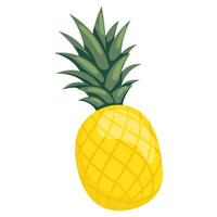 ananas gemakkelijk illustratie. rijp sappig fruit. helder tekenfilm vlak clip art vector