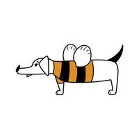 een grappig tekenfilm hond staat in een grappig gestreept bij kostuum. gemakkelijk geïsoleerd vlak illustratie met teckel karakter. koel mascotte voor stickers, logo's, branding. huisdier voor dierenarts kliniek, dierentuin winkel, voedsel. vector