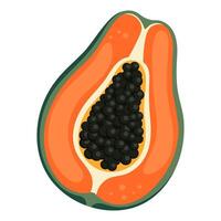 papaja gemakkelijk illustratie. rijp sappig fruit. helder tekenfilm vlak clip art vector