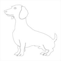 hand- getrokken hond schets illustratie vector