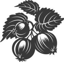 silhouet hazelnoot fruit zwart kleur enkel en alleen vector